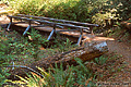 My wife and I found this hidden bridge at the end of a rarely used dirt road that you might not find without the use of a 4 wheel drive vehicle. Near Richardson Grove, CA 'Nikon F100 35mm SLR' (Click for larger view)