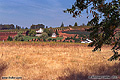 This cute house was seen across the street from one of our stops during a day trip. Apple Hill, CA 'Nikon F100 35mm SLR' (Click for larger view)