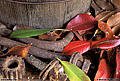 Old stuff in my backyard. Citrus Heights, CA 'Nikon F100 35mm SLR' (Click for larger view)