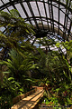 This shot was taken inside the Botanical Building where there were many colorful and interesting plants. 'Nikon D70 Digital SLR' (Click for larger view)