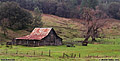 This old barn was found along Highway 49. Jackson, CA 'Nikon F100 35mm SLR' (Click for larger view)