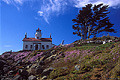 This lighthouse is located on a small island that is accessible on foot at low tide. We were lucky to arrive a just the right time in order to walk out to the lighthouse. Crescent City, CA. 'Nikon F100 35mm SLR' (Click for larger view)