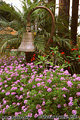 More flowers at the Paradise Point Resort. San Diego, CA 'Nikon F100 35mm SLR' (Click for larger view)