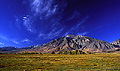 Open space in the early morning near Bishop, CA. 'Nikon F100 35mm SLR' (Click for larger view)