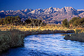 Early morning at the Owens River with the Easter Sierras in the background. Bishop, CA. 'Nikon F100 35mm SLR' (Click for larger view)