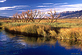 This scene shows the Owens River in the foreground just prior to sunset. Near Bishop, CA. 'Nikon F100 35mm SLR' (Click for larger view)