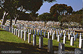 Military cemetery. Point Loma, CA 'Nikon F100 35mm SLR' (Click for larger view)