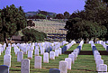 One more view of the military cemetery. If you look very closely you can see the upper lighthouse at the top of the hill in the far background. Point Loma, CA 'Nikon F100 35mm SLR' (Click for larger view)