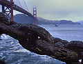 As you can see, this fence made of fairly large chain links has weathered quite a bit over the years. San Francisco, CA 'Nikon F100 35mm SLR' (Click for larger view)