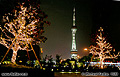 Oriental Pearl radio and TV tower by night. This unusual broadcasting tower is located in the city of Shanghai in the Peoples Republic of China. The tower is very tall, 1535 feet tall to be exact. Shanghai is a large city with a population of just over 13 million! 'Minolta X-700 35mm SLR' (Click for larger view)