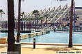 Shallow pond across the street from the San Diego Convention Center. San Diego, CA 'Nikon F100 35mm SLR' (Click for larger view)
