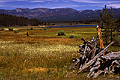 This meadow is located at Donner Camp just north of Truckee, CA. 'Nikon F100 35mm SLR' (Click for larger view)