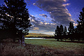 One more photo of Donner Camp before the color of light changes from the white of day to yellows and oranges of sunset. North of Truckee. Donner Camp, CA. 'Nikon F100 35mm SLR' (Click for larger view)