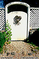 Backyard gate. Coloma, CA. 'Nikon F100 35mm SLR' (Click for larger view)