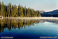 As the sun rises the colors start to show themselves and the ducks start to appear. Wright's Lake is located at 6941 feet above sea level near the Desolation Wilderness. Wright's Lake, CA. 'Nikon F100 35mm SLR' (Click for larger view)