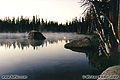 In the early morning with mist rising off the lake the color of the light is almost monotone. Wright's Lake, CA. 'Nikon F100 35mm SLR' (Click for larger view)