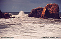 If you look real close you will see a surfer in the middle of this picture. Since the water of the Pacific Ocean is cold all year round in Northern California the surfers wear wet suits. During this trip it got so windy that even the surfers declined to get out of the water. Pacifica, CA. 'Minolta X700 35mm SLR' (Click for larger view)