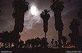 Southern California night. This picture was taken right across the street from the Belmont amusement park at Mission Beach. San Diego, CA 'Nikon F100 35mm SLR' (Click for larger view)