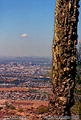 Here is a view from the hills of 'South Mountain Park' looking back down towards the city. Phoenix, AZ. 'Nikon F100 35mm SLR' (Click for larger view)
