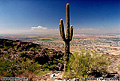 This view is looking to the northwest from near Dobbin's lookout at the top of 'South Mountain Park' Phoenix, AZ. 'Nikon F100 35mm SLR' (Click for larger view)