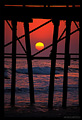 Pier at sunset. Oceanside, CA 'Nikon F100 35mm SLR' (Click for larger view)