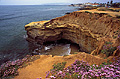 Ocean cliff. Point Loma, CA 'Nikon F100 35mm SLR' (Click for larger view)