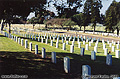 This view of the military cemetery on Point Loma only shows a small portion of it. It was a very humbling experience to take a picture here where so many soldiers that have severed now rest. I felt honored to be able to walk in their presence. This picture was scanned from a print. Point Loma, CA 'Minolta X700 35mm SLR' (Click for larger view)
