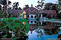 This is the Botanical Building located in Balboa Park along with the adjacent reflecting pond. It was built in 1915 and at that time it was the world's largest wood lath structure. San Diego, CA 'Nikon F100 35mm SLR' (Click for larger view)