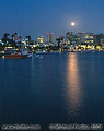 San Diego by night #2. San Diego, CA 
'Nikon F100 35mm SLR' (Click for larger view)