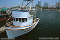 Small fishing boat. San Diego, CA 'Nikon F100 35mm SLR' (Click for larger view)