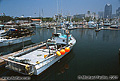 Another fishing boat. While I was taking these fishing boat pictures I was able to capture the visual images but I am glad to say that I was unable to capture the aroma. San Diego, CA 'Nikon F100 35mm SLR' (Click for larger view)