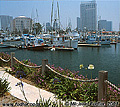 This harbor is near the Sea Port Village shopping area. This picture was the last one on the roll and part of the frame was covered by a paper label on the film. That's the reason the format is square rather than rectangular. San Diego, CA 'Nikon F100 35mm SLR' (Click for larger view)