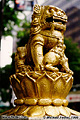 There were several of these lion figures decorating a section of Orchard Blvd. Singapore 'Minolta X-700 35mm SLR' (Click for larger view)