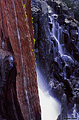 A second view of Eagle Falls in early July. Lake Tahoe, CA 'Nikon F100 35mm SLR' (Click for larger view)