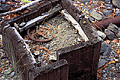 I found this old rusty valve while exploring along a stream bed. This was off the normal trail so that most people would never see it. Richardson Grove, CA 'Nikon F100 35mm SLR' (Click for larger view)