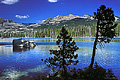 Taken while camping at in late June. Wright's Lake, CA 'Nikon F100 35mm SLR' (Click for larger view)