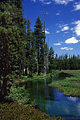 This crystal clear stream feeds Wright's Lake. The water looked to be about ten feet deep at the spot where I took this picture. Wright's Lake, CA 'Nikon F100 35mm SLR' (Click for larger view)