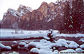 This is the first picture in a series taken the last weekend of January, 2001 while in Yosemite. This image with the 'Three Sisters' in the background was taken in the early morning the day after a storm that dropped about two feet of snow. 'Minolta X-700 35mm SLR' (Click for larger view)