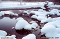 Focusing on the foreground reveals snow mushrooms in the stream. As you can see it was cold enough to keep the snow from melting but not cold enough to freeze the stream. 'Minolta X-700 35mm SLR' (Click for larger view)