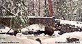 This stone bridge is located near the entrance to Yosemite Valley. I took this shot on my way out of the park after a great weekend. 'Minolta X-700 35mm SLR' (Click for larger view)