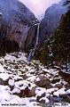 This picture of Lower Yosemite Falls was taken just before sunset. The upper portion of the falls was covered in clouds at the time this picture was taken. 'Nikon F100 35mm SLR' (Click for larger view)