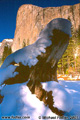 Here is another view of El Capitan which includes an interesting tree stump. This is almost the same view as an earlier picture shown on page 35. The difference is that this picture was taken with my Nikon using slide film rather than the print film that was used in the Minolta on page 35. 'Nikon F100 35mm SLR' (Click for larger view)