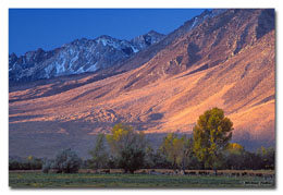 First light of the day (Click for larger view)