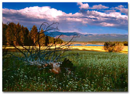 Donner Camp(Click for larger view)