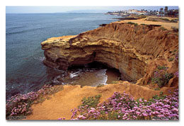 Point Loma Cliff (Click for larger view)