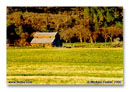 Oroville Barn